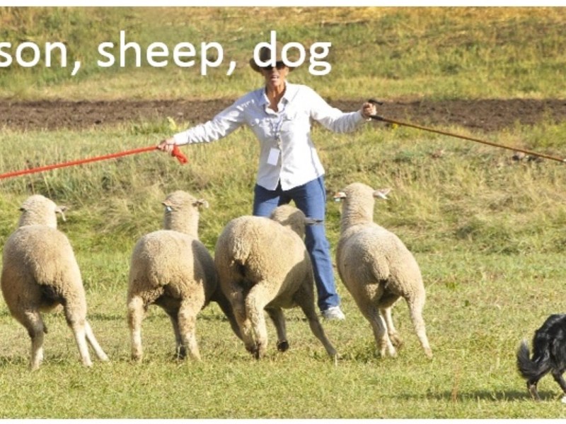 Learning Words with&nbsp;Pictures