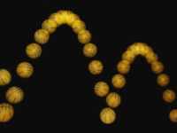 Learning Common Sense from&nbsp;Video